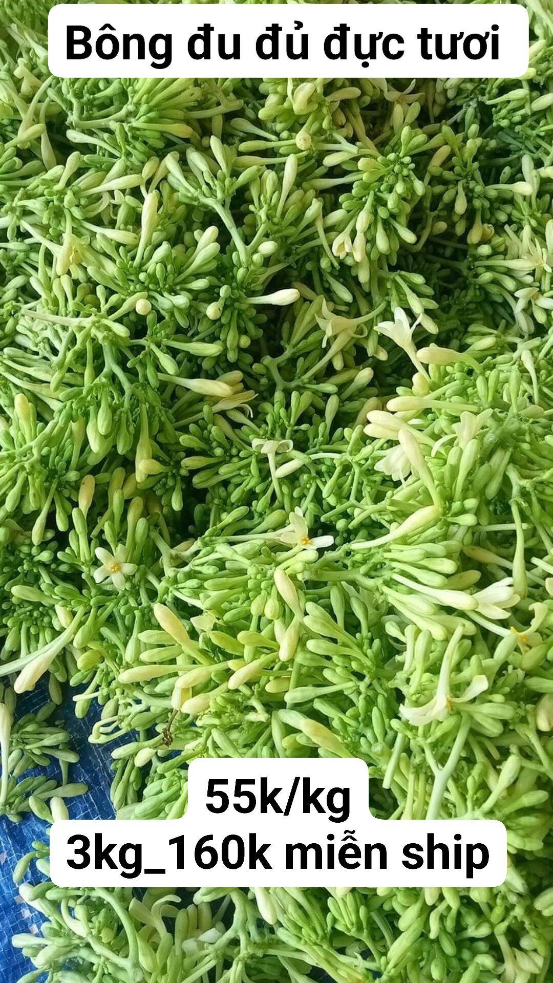 1kg hoa đu đủ đực tươi