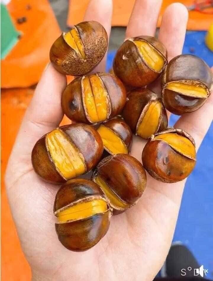 Hạt dẻ Tây Bắc-500gr