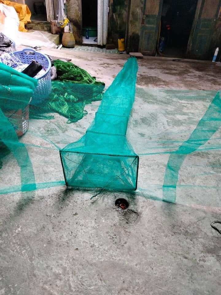 ⭐ Dớn chặn sông, dớn bắt cá
