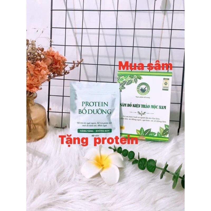 [Mua 1 tặng 1 Protein] (Ship Nhanh, Mẫu Mới, Date Mới) Sâm Bổ Kiện Thảo Mộc Nam - Tăng Cân Hiệu Quả