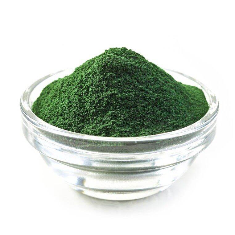TẢO BỘT NUÔI CÁ , TẢO BỘT THỨC ĂN CHO CÁ HỦ 50g