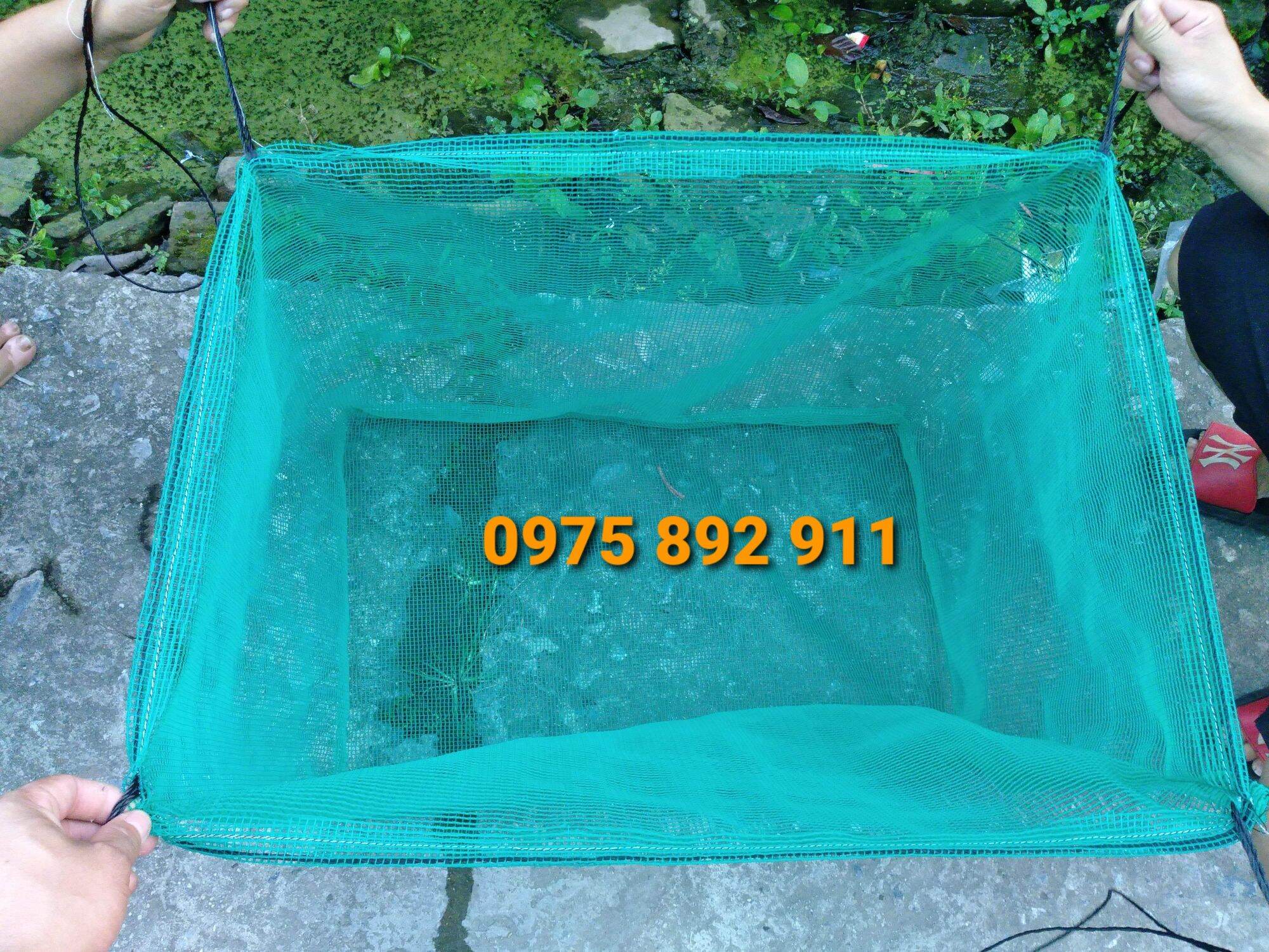 Lồng cho cá đẻ GUPPY