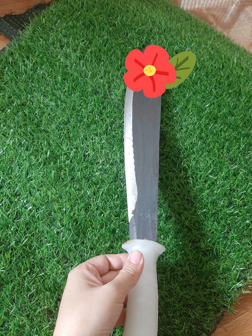 Dao Thái thịt heo