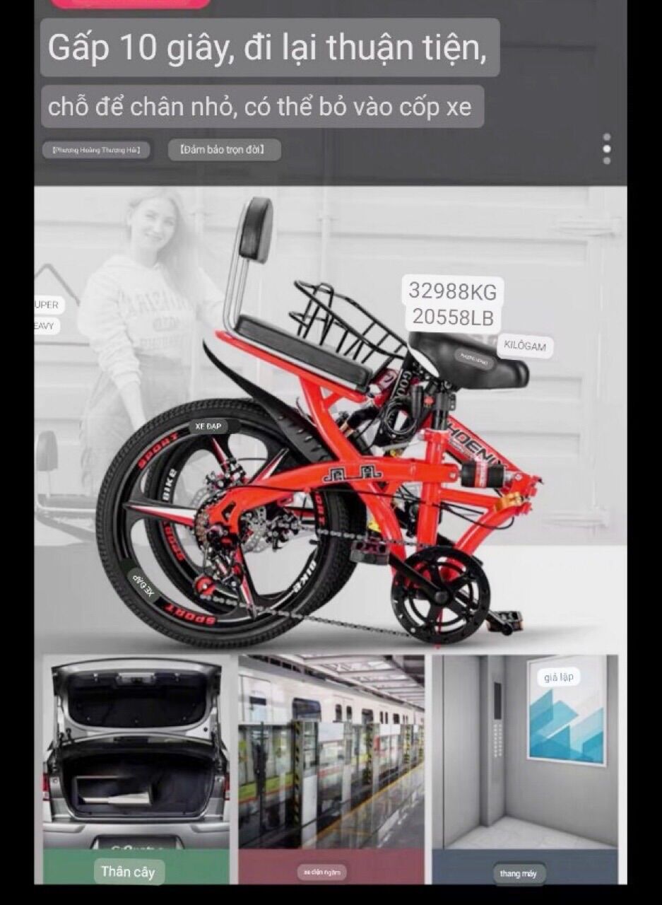 Xe Đạp Gấp 20 icnh Phoenix- Xe Đạp Số Siêu Nhẹ