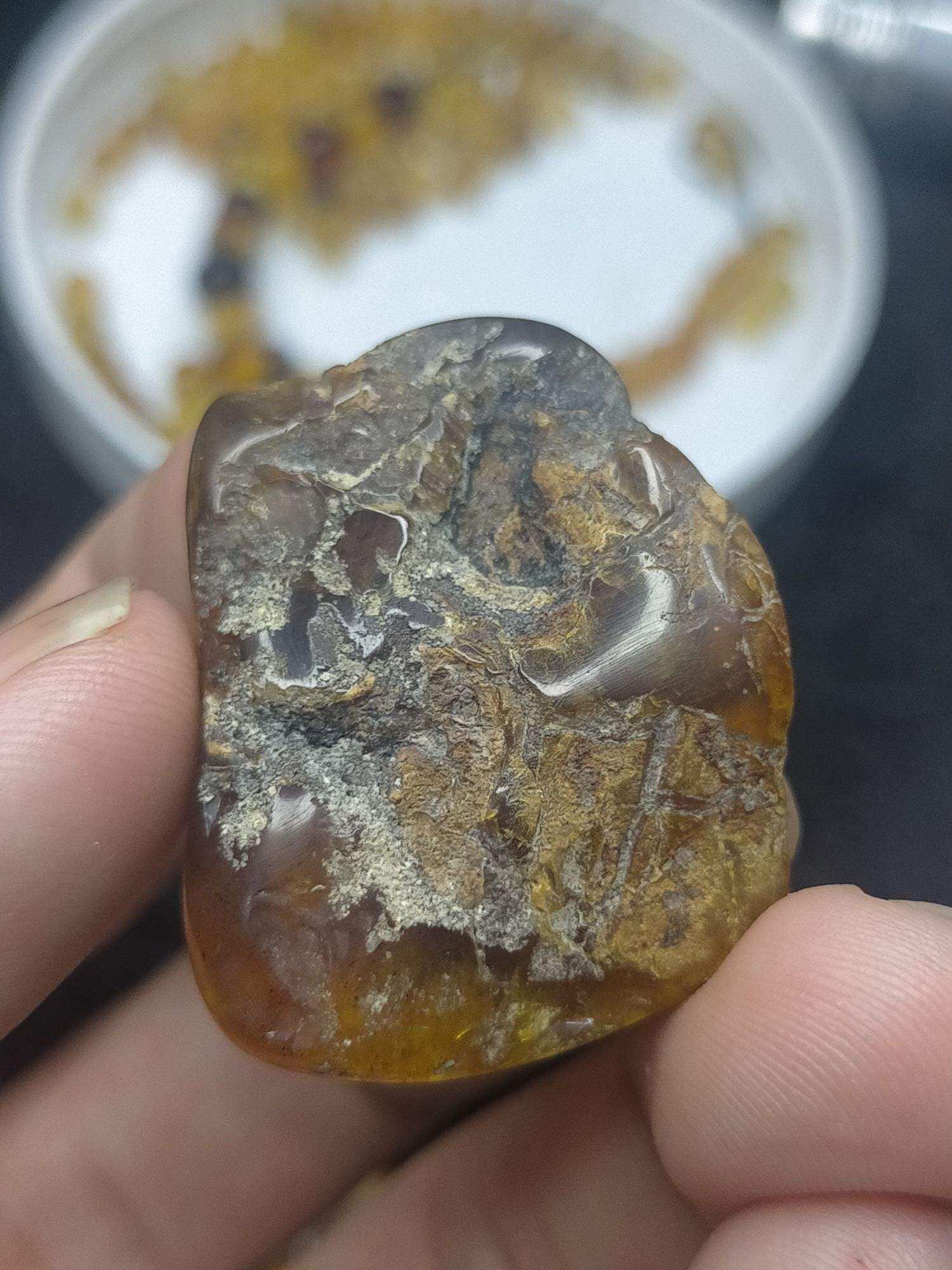 hổ phách tự nhiên , hàng tự nhiên không qua xử lý. bao kiểm định tại Sài Gòn. hổ phách dominica , myanmar , baltic của Aok