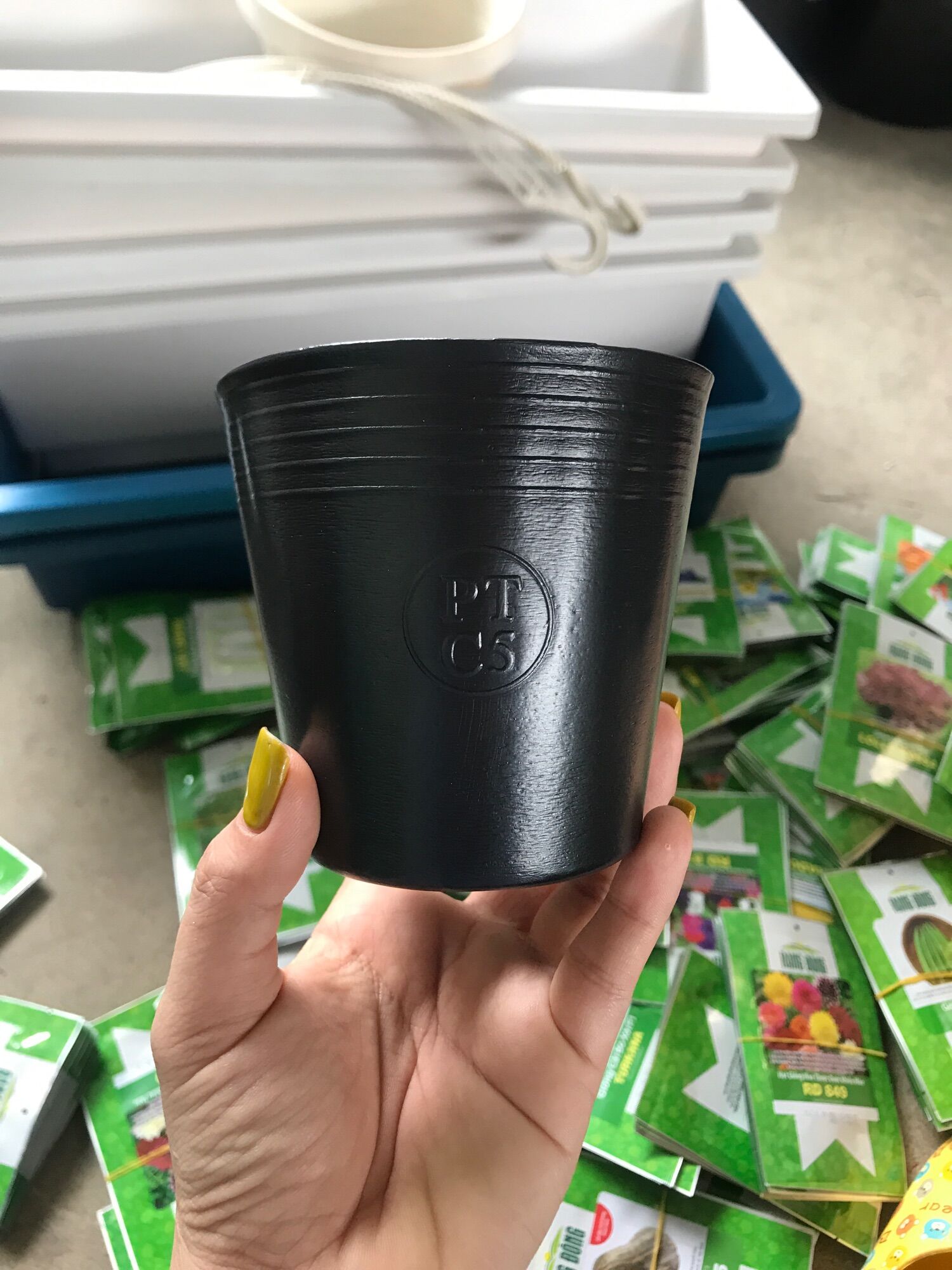 Combo 10 - 20 chậu nhựa ươm cây C5