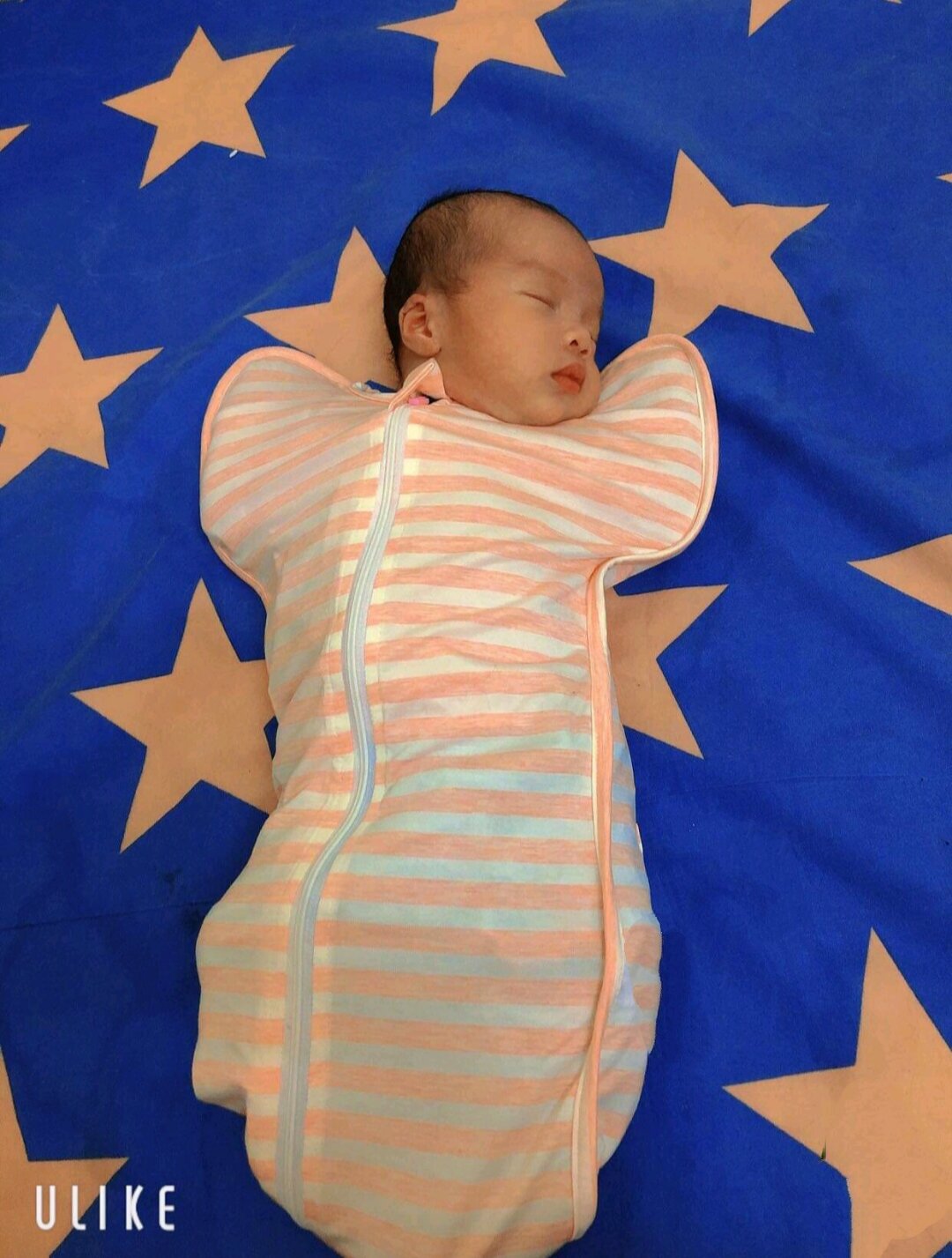 Nhộng chũn cotton cao cấp,khóa kéo 2 chiều cho bé