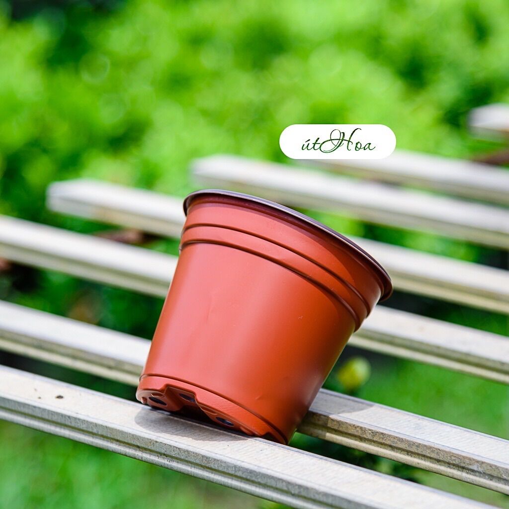 Chậu nhựa nâu N15 (15x12.5cm)vành miệng cứng