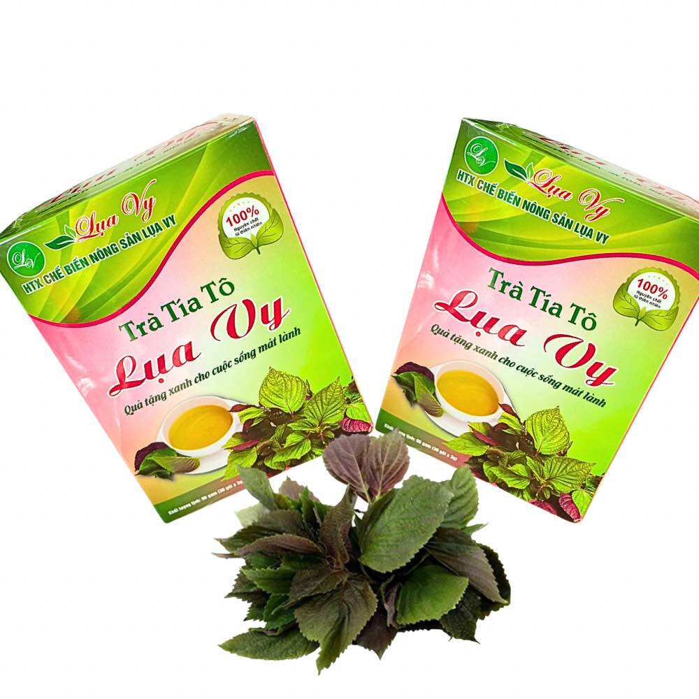 Trà tía tô lụa vy