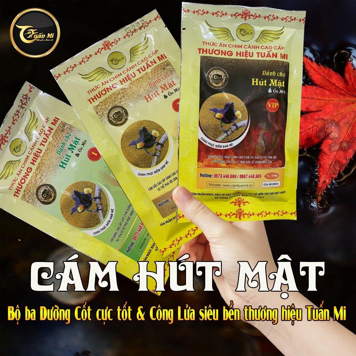 Cám Hút Mật VIP ( Tuấn Mi )
