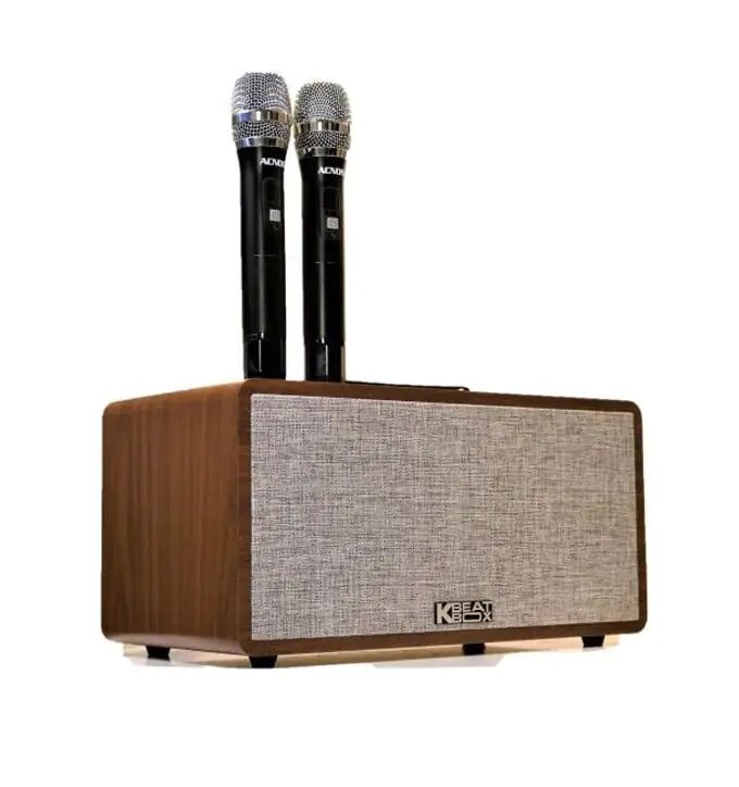 Loa Acnos CS 390