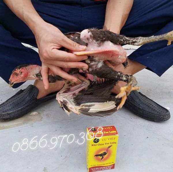 Khô Chân Teo Lườn  Ưu Việt Ăn Nhiều Không Béo, Không Hấp Thụ Nhợt Nhạt, tụt Cân Lườn Gầy, Chân Khô