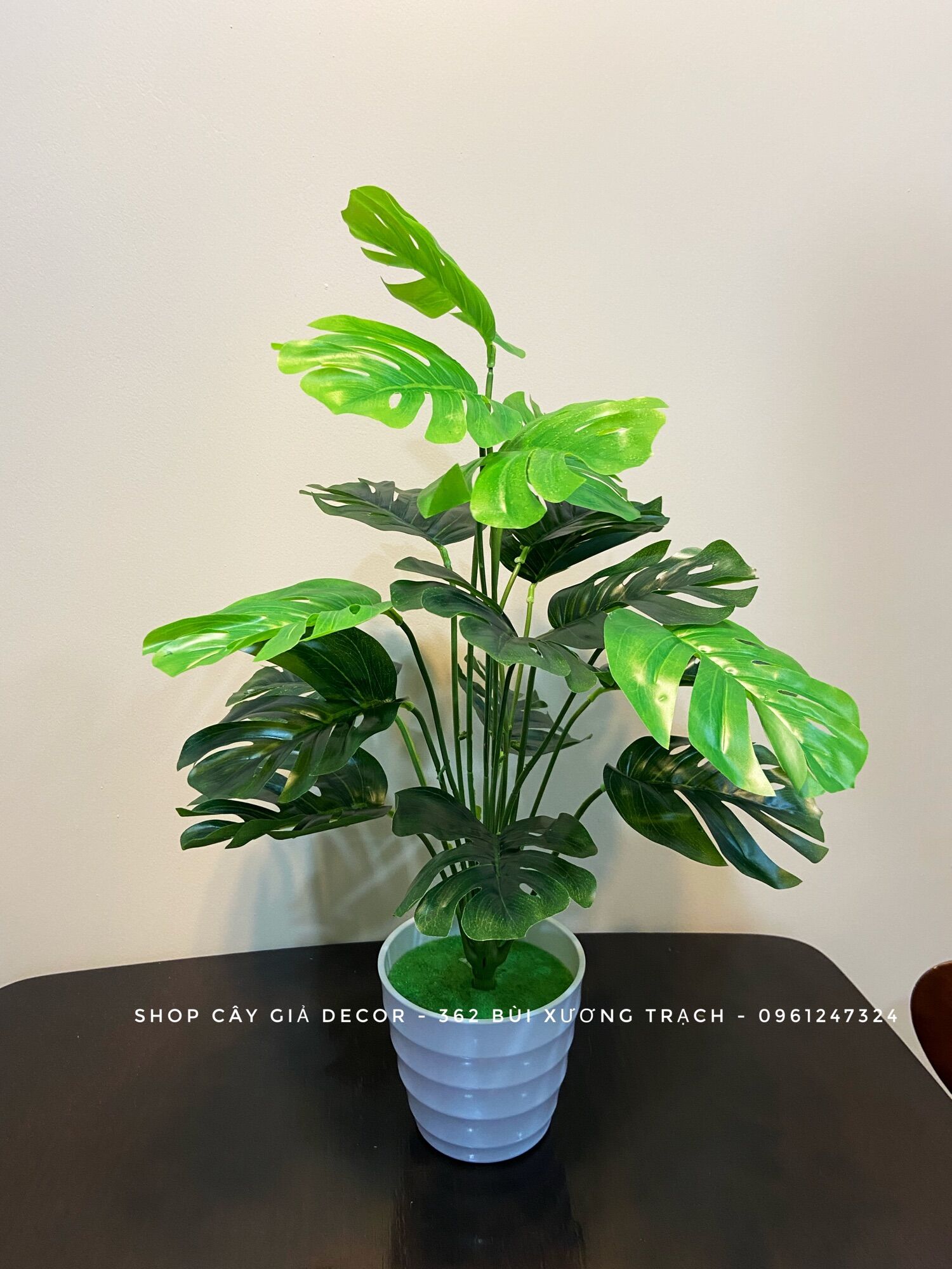 Cây lá rùa lớn 50cm - cây giả 18 lá - mẫu cao cấp