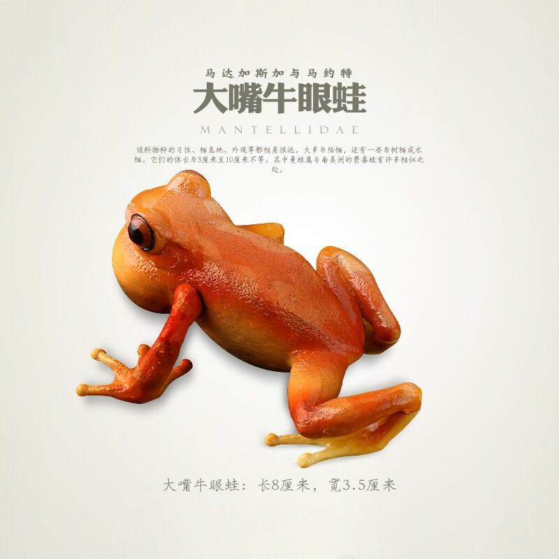 Tongde thực tế ếch mô hình động vật đồ chơi bullfrog cây ếch phi tiêu ếch trường gà cóc ếch trẻ em đồ trang trí