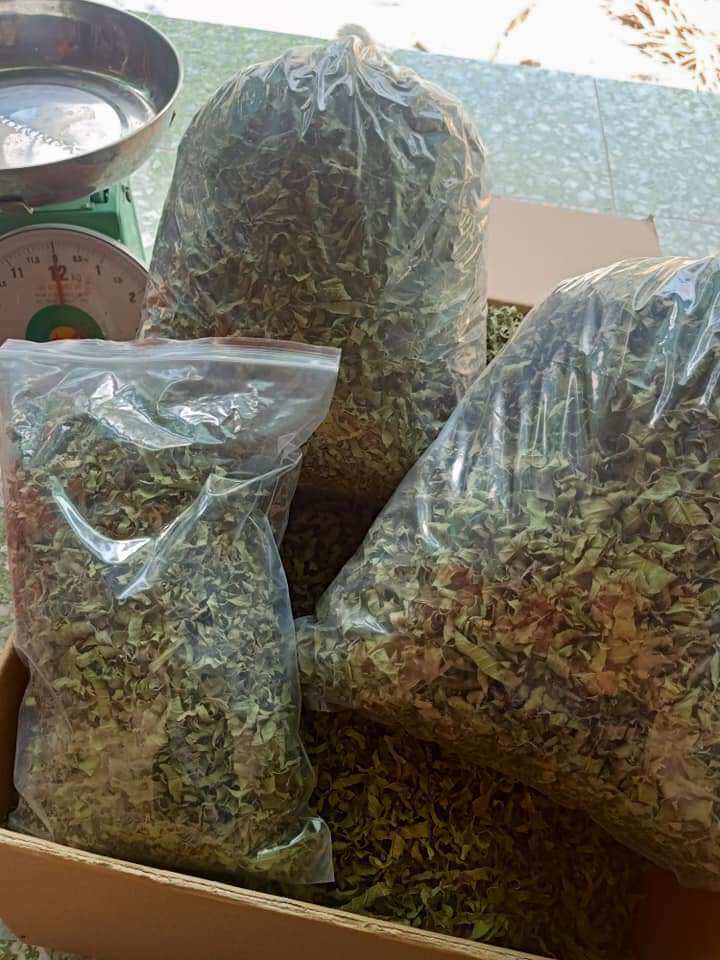 Trà lá ổi  khô nguyên lá  phơi khô (giá 1kg)