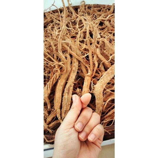 Sâm dây Ngọc Linh loại to