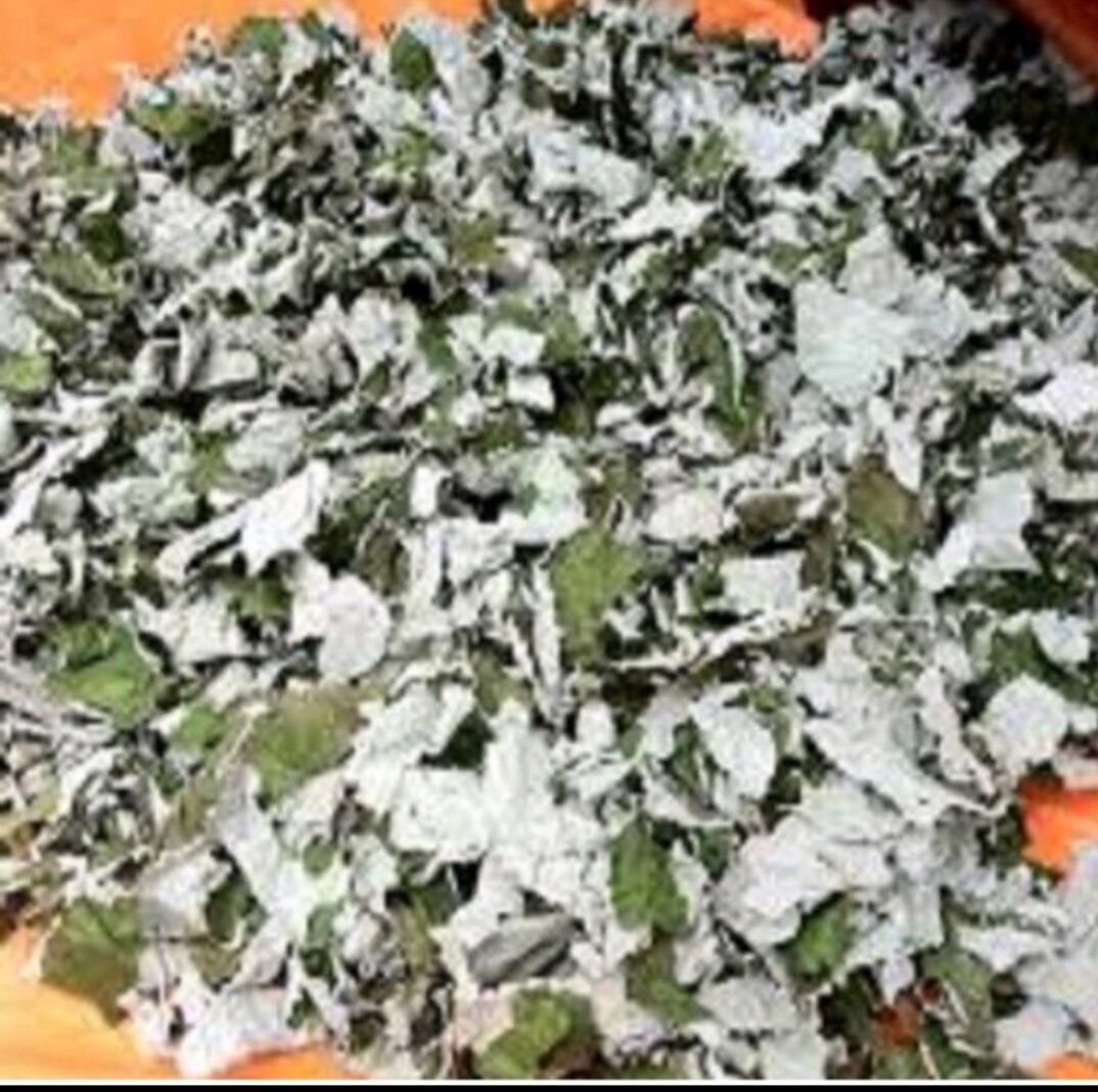 1 Ký Bột Lá Gai nguyên chất 100%