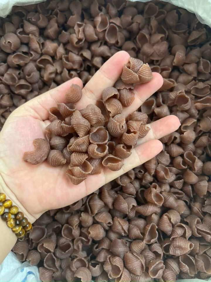 500g nui sò gạo lứt