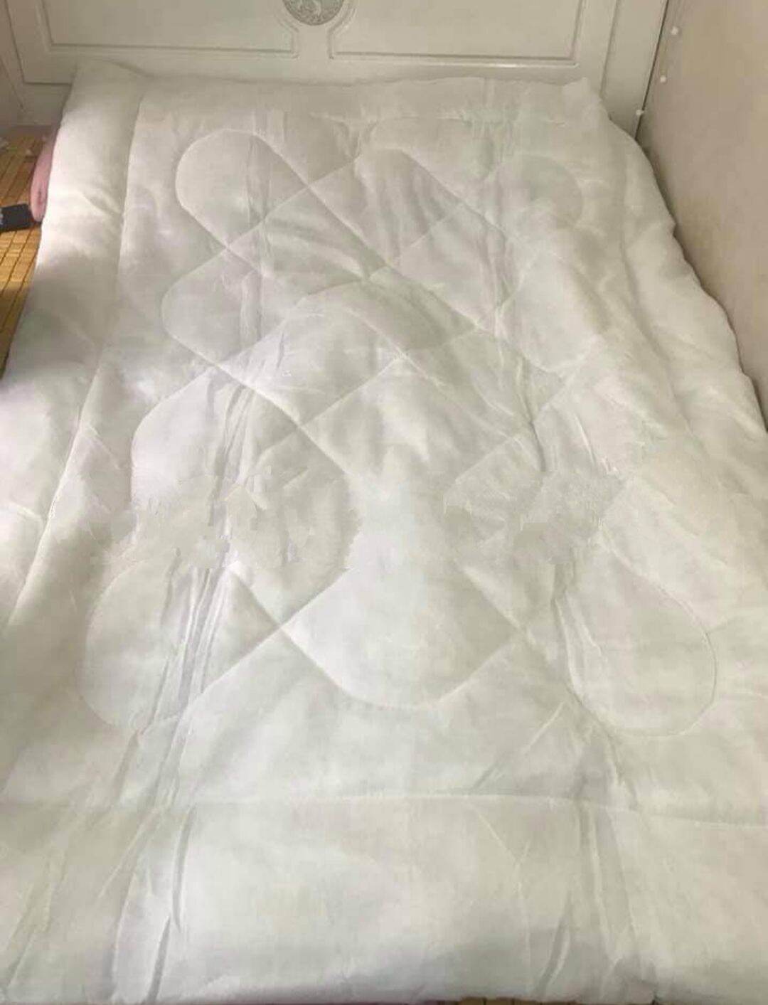Ruột chăn bông kích thước 1m6x2m2