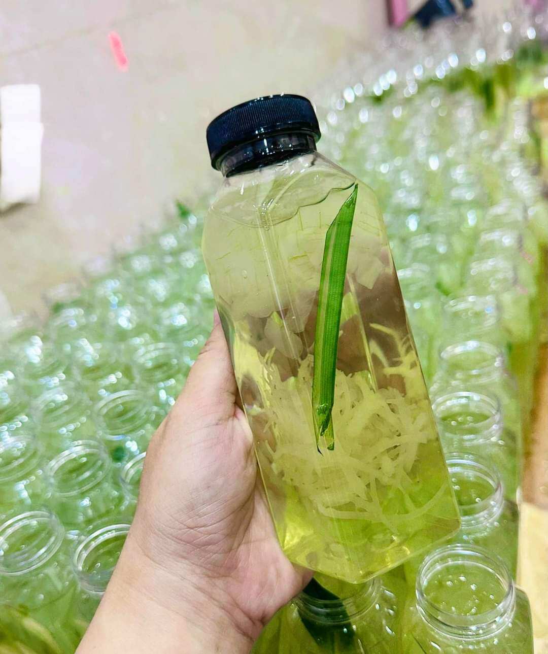 Rong Sụn Gai Muối Khô