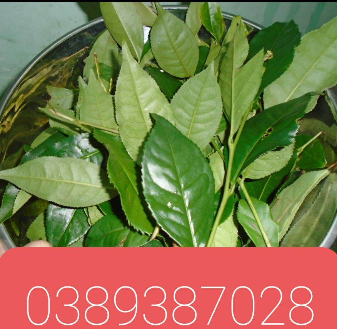 Lá chè xanh,2kg