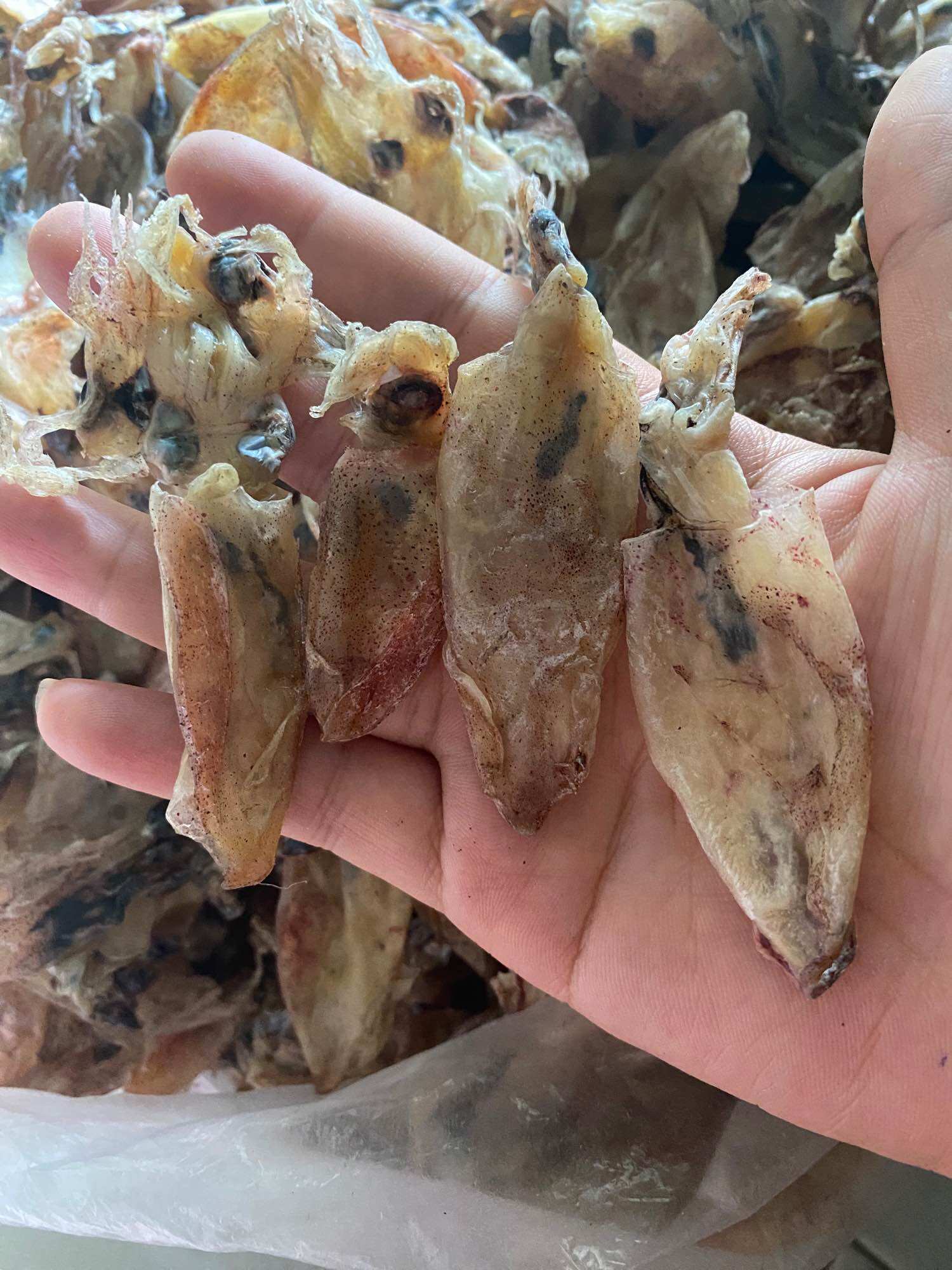 (100% Hình Thật) Khô Mực Chuối Phan Thiết 1kg