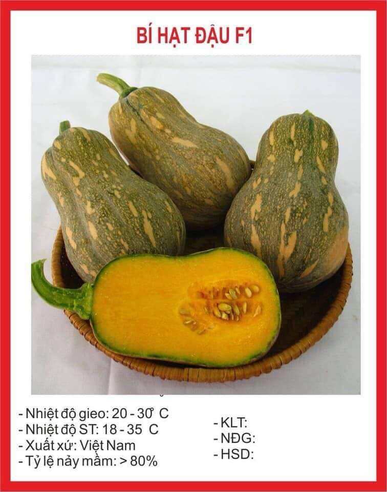 Hạt giống bí hạt đậu 10 hạt