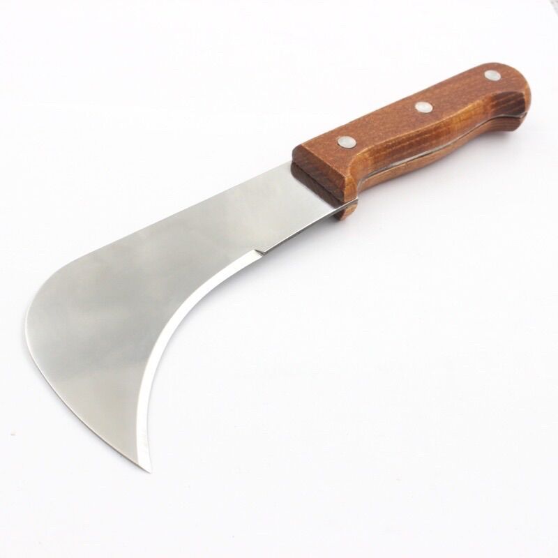 dao khui sầu riêng
