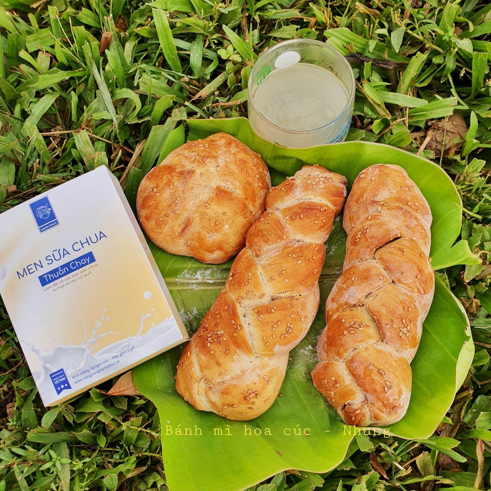 Men sữa chua thuần chay