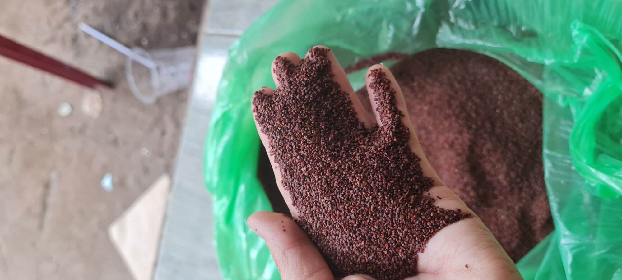 Gói hạt ngũ hoa đắp mặt 1kg