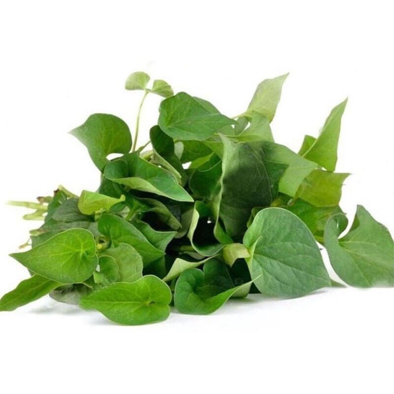 [HCM]BỘT DIẾP CÁ HANDMADE NHÀ BỘT 100gr