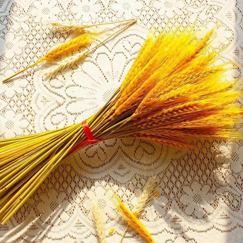 Bó 100 cành bông lúa mạch khô, decor, phong thuỷ tài lộc