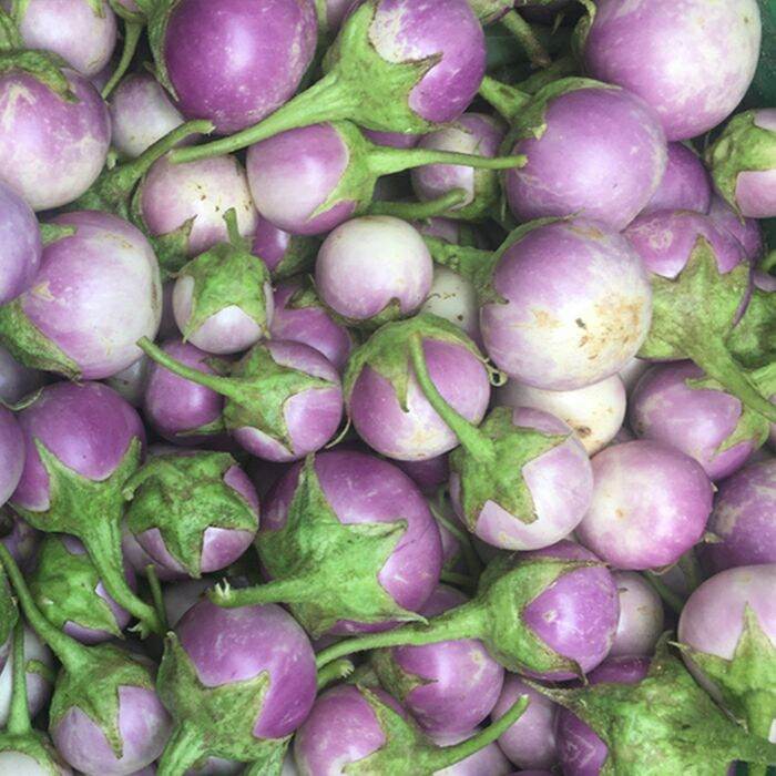 Hạt Giống Cà Pháo Tím (0,5gram)