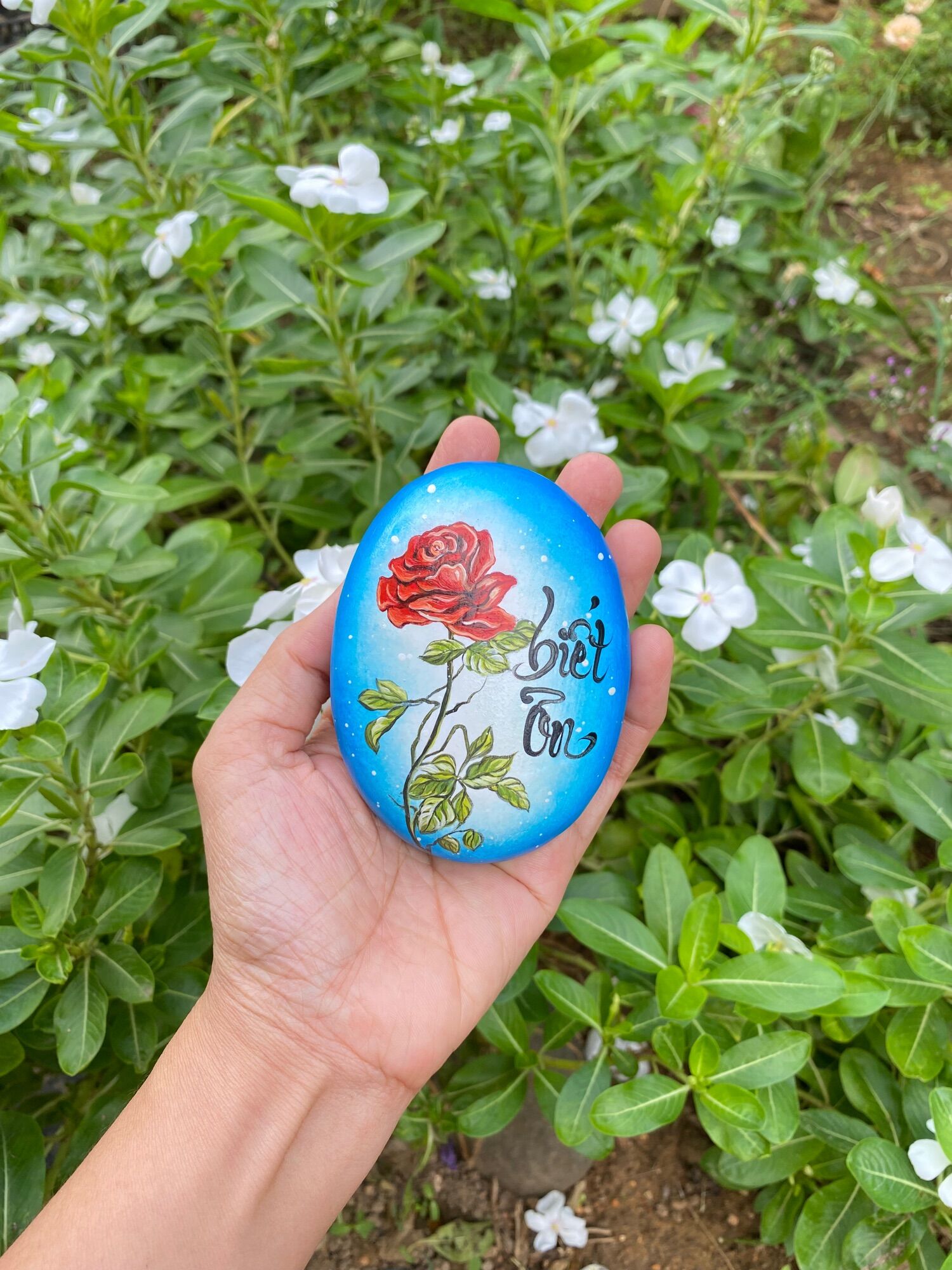 Hòn đá biết ơn mẫu hoa hồng