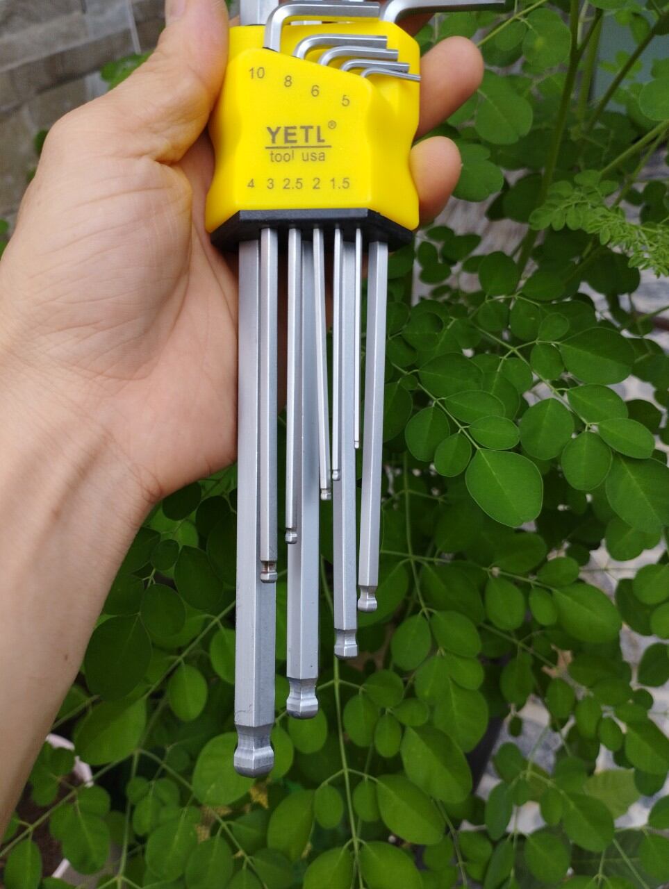 Bộ lục giác Bi hoặc Hoa Thị Yeti