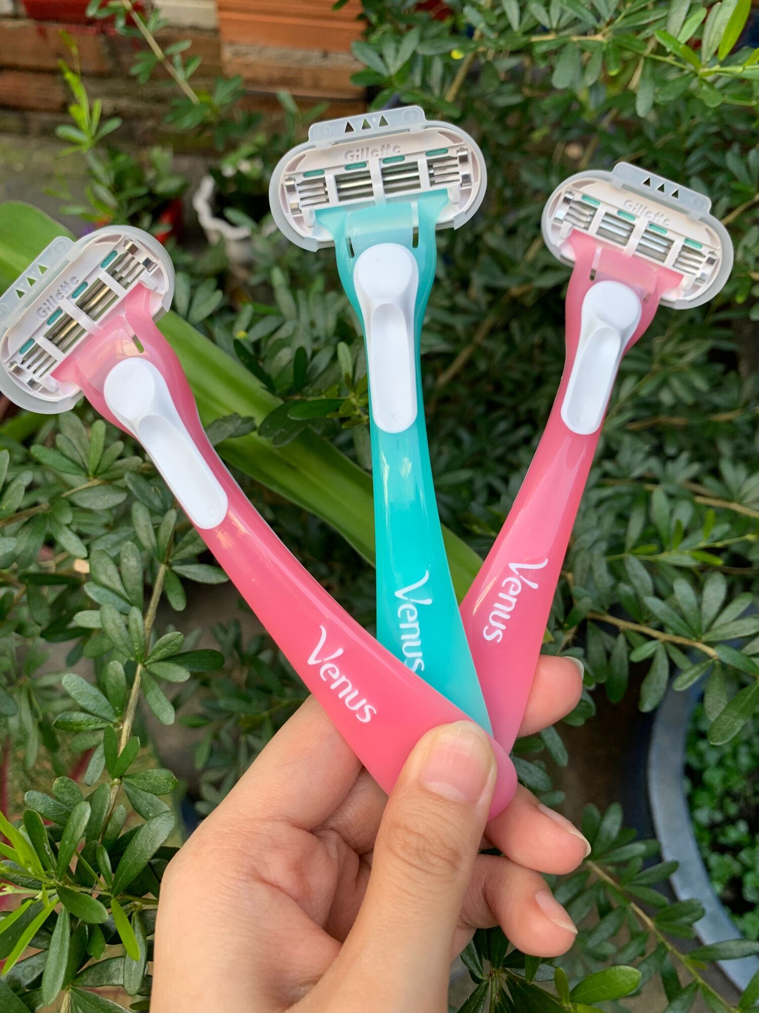 Dao Cạo Gillette Venus (Dành Cho Nữ)