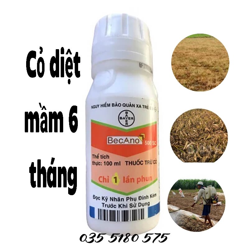 Thuốc cỏ diệt mầm 6 tháng becano 500sc 50ml