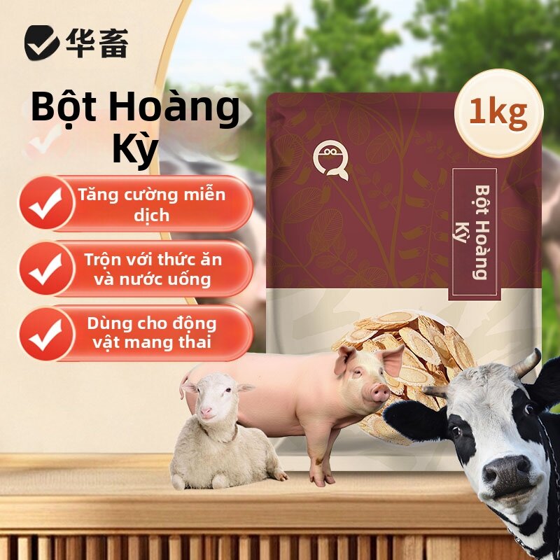 ZHONGNONGKANGXU | Bột Astragalus Phụ Gia Thức Ăn Cho Gia Súc và Gà