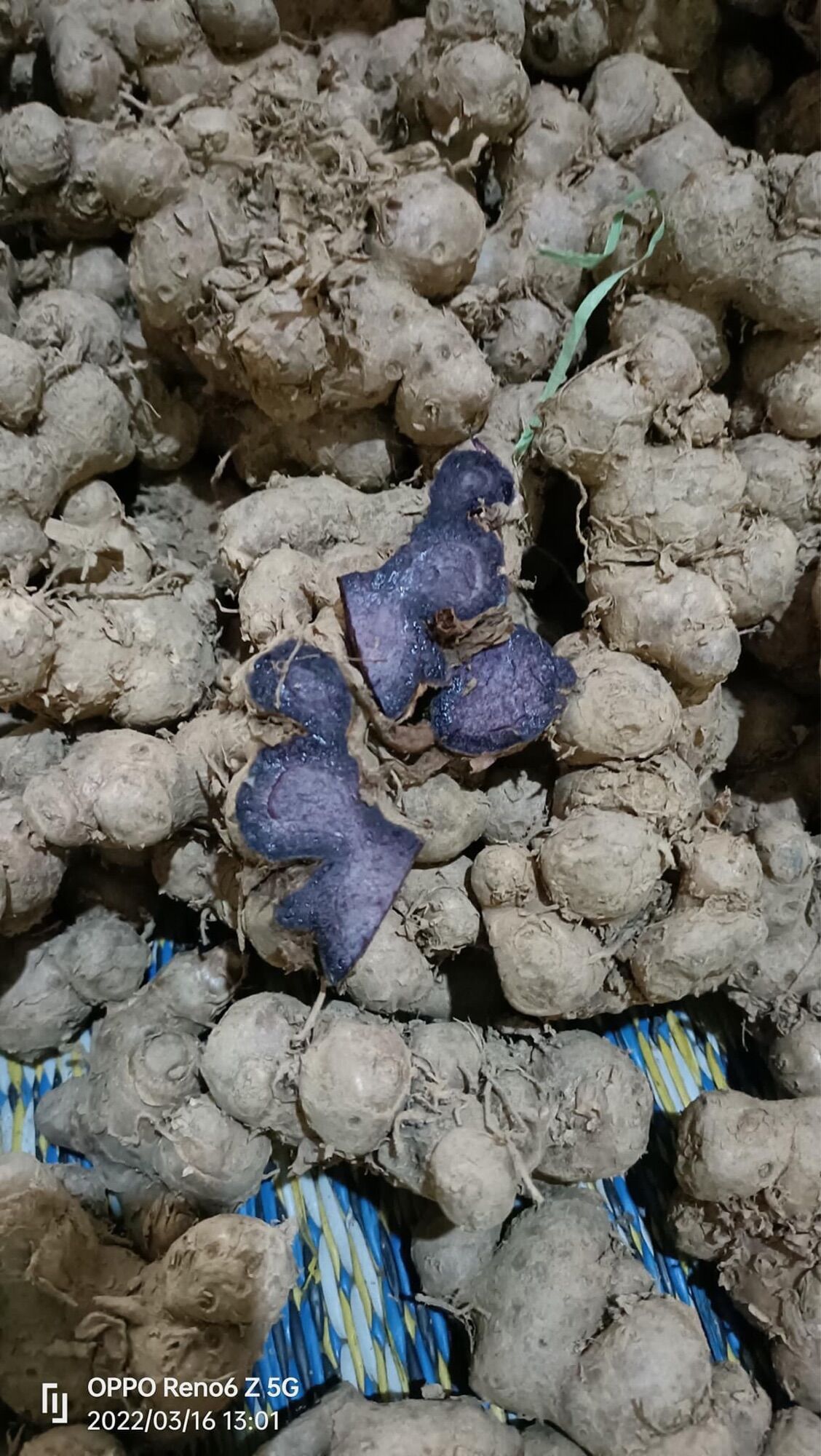 Gừng đen tươi 1kg