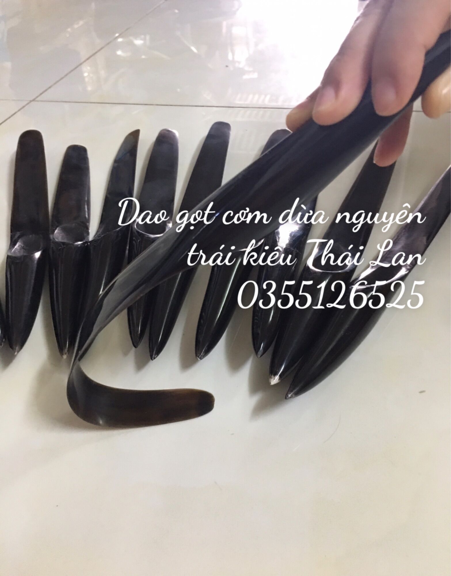 Dụng cụ lấy cùi dừa nguyên quả hàng bằng sừng trâu 100%, hàng loại 1 xuất khẩu Thái Lan sản xuất tại xưởng - 35cm