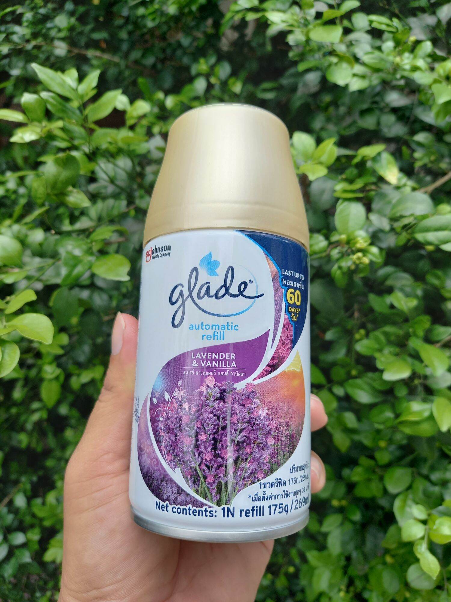 Bình xịt phòng tự động glade hương lavender 269ml