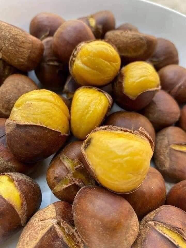 HẠT DẺ TƯƠI BÓC SẴN [ 500gr ]