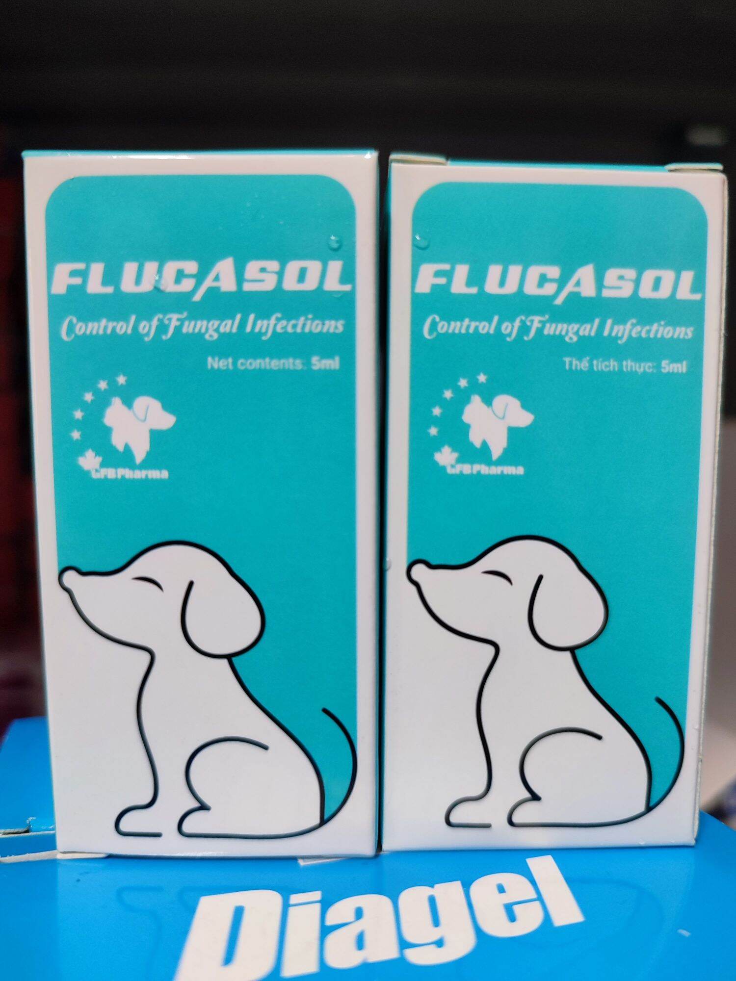 dung dịch bôi Nấm da cho cún Flucasol CANADA chai 5 ml