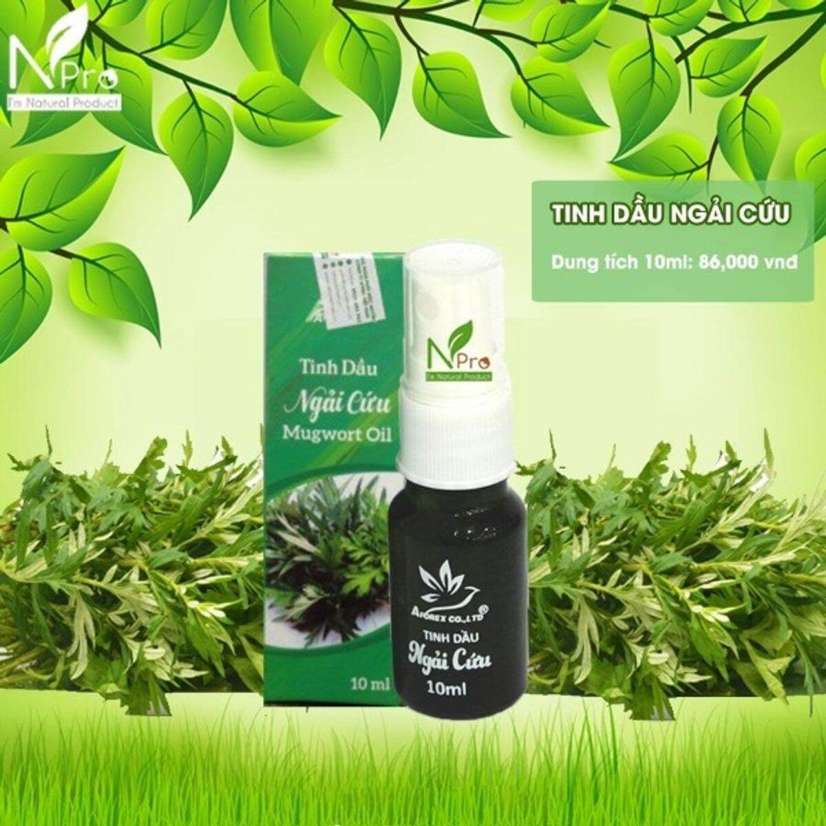 Tinh dầu ngải cứu