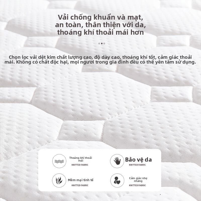 NUOMU | Back Support Coconut Fiber Mattress Pad 10cm Giá 3,020,000 Đồng*Miễn phí vận chuyển