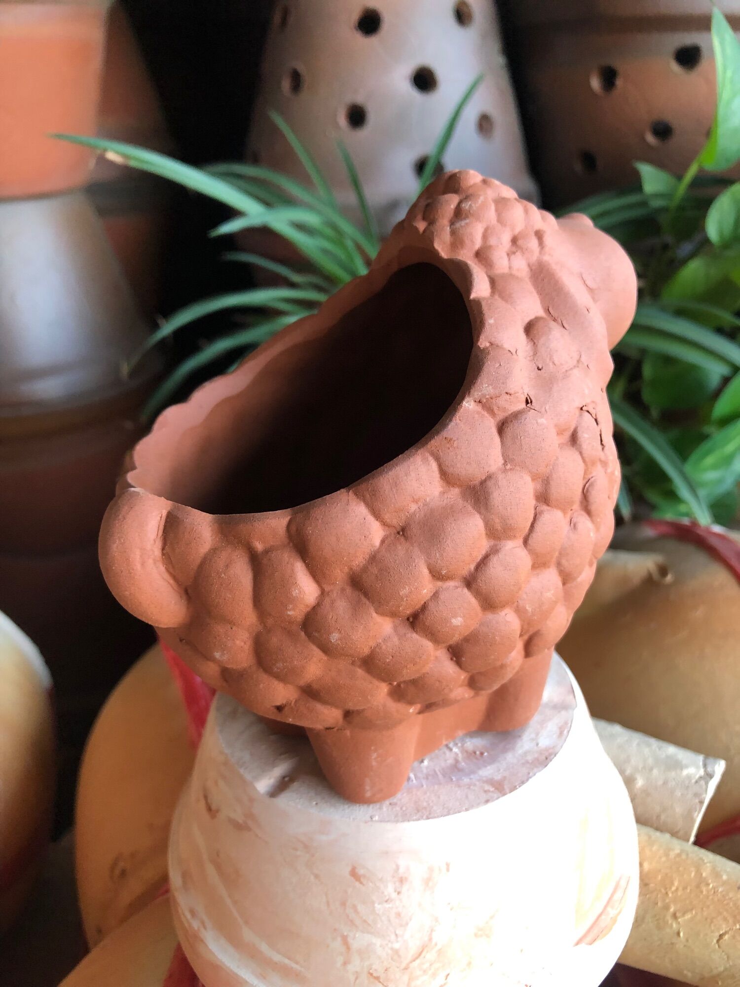 Con cừu đất nung cừu đất đỏ bạc sánh