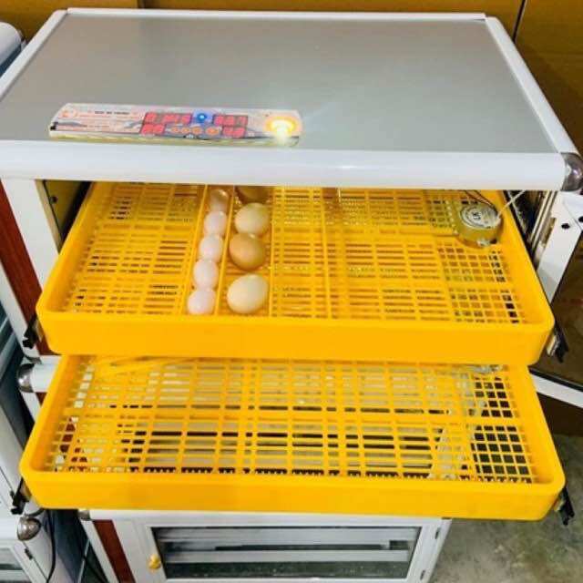 Máy ấp trứng Ánh Dương tự động 100 trứng thùng hợp kim -máy ấp trứng gà