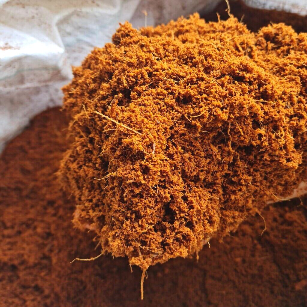 (1 kg) mụn sơ dừa trồng cây - giúp giữ ẩm và ra rễ nhanh, cây tươi tốt