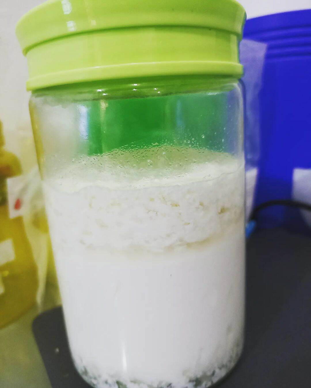 nấm sữa kefir làm sữa chua - 10gr