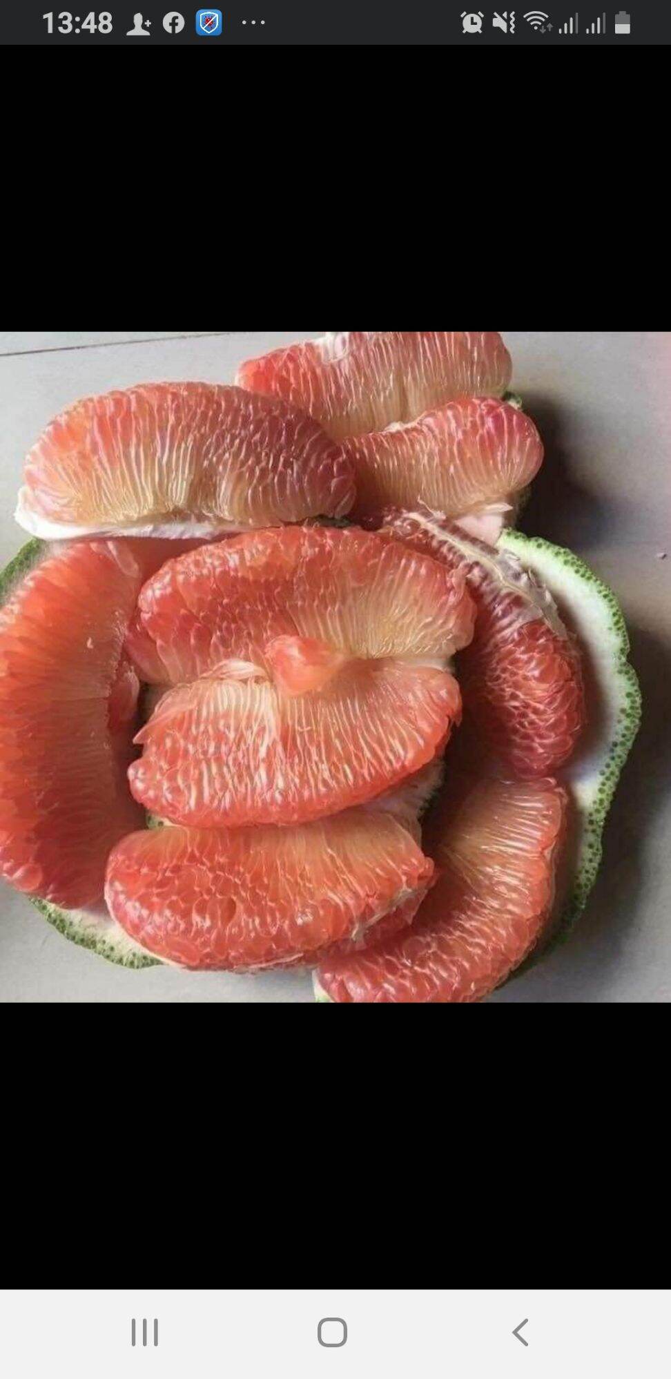 5kg bưởi da xanh chín cây, ngọt, sạch